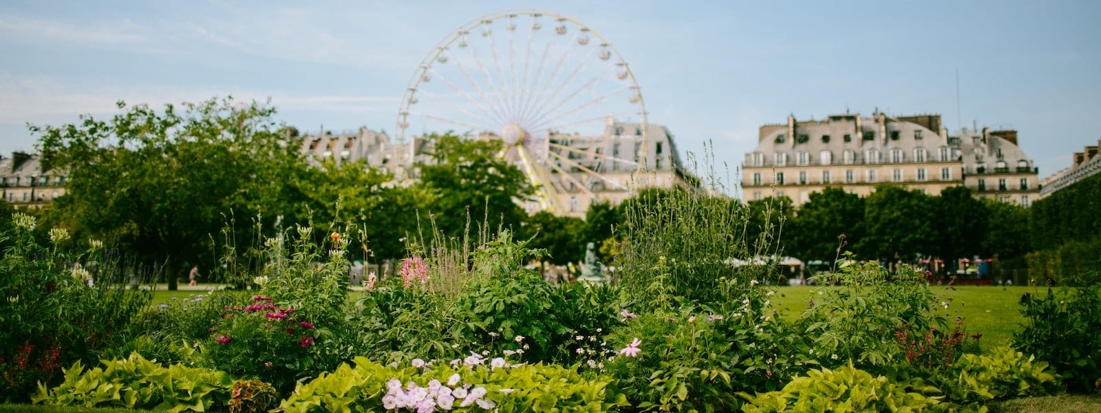 Jardin des Tuileries