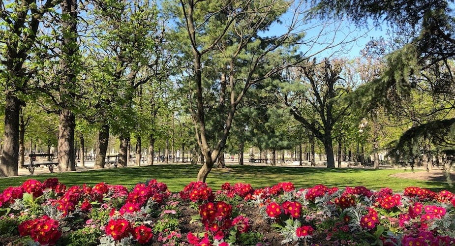 Jardin Du Luxembourg Park Parijs