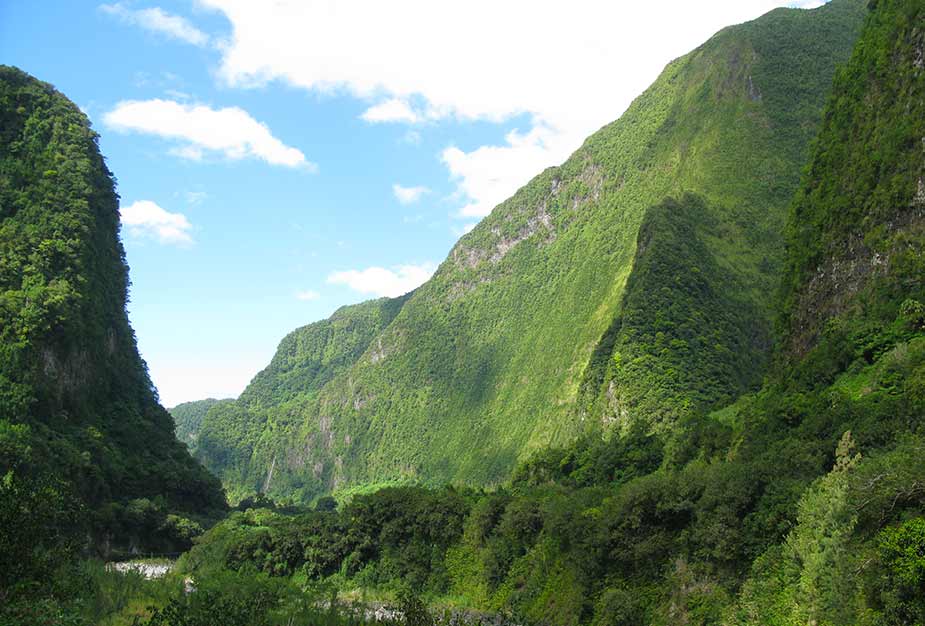 Natuur en bergen in La Reunion