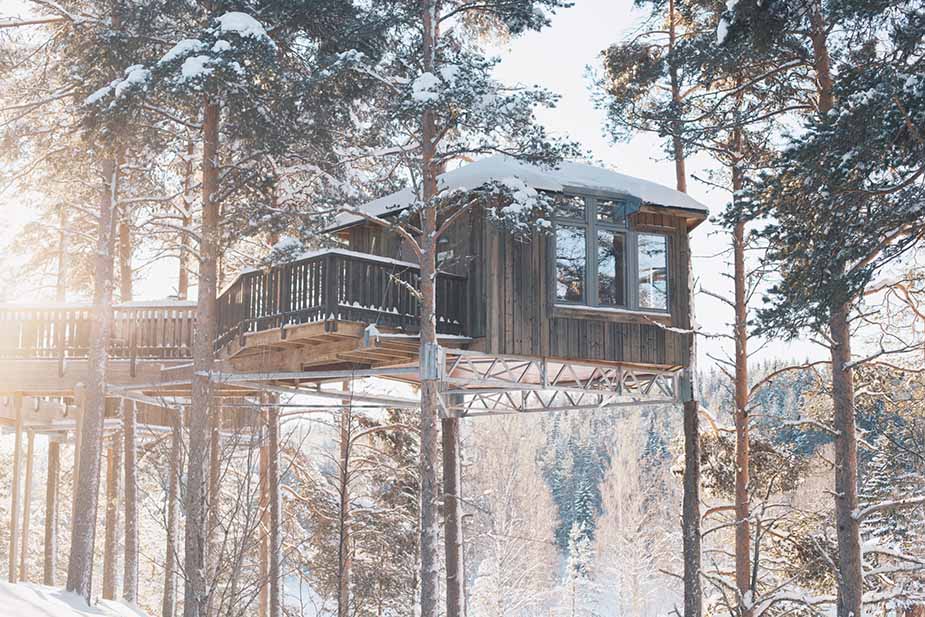 slapen in een boomhut in de unieke zweedse natuur