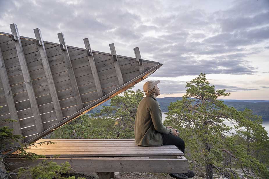 arknat in de natuur in zweden