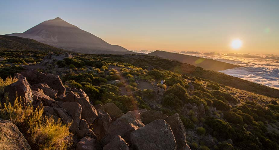 De Teide bij zonsopgang