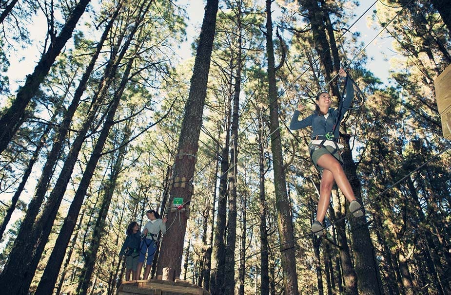 Klimmen in de bossen op Tenerife