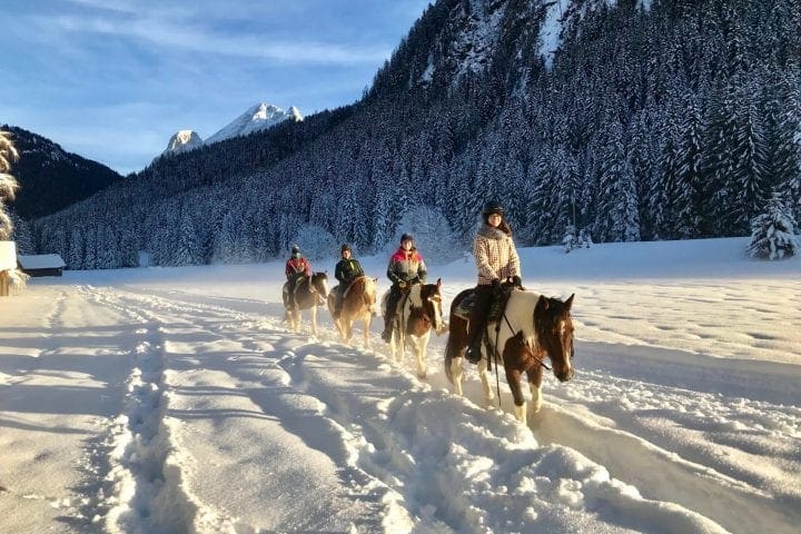 Tip wintersport Trentin: paard rijden in de sneeuw in Val di Fassa