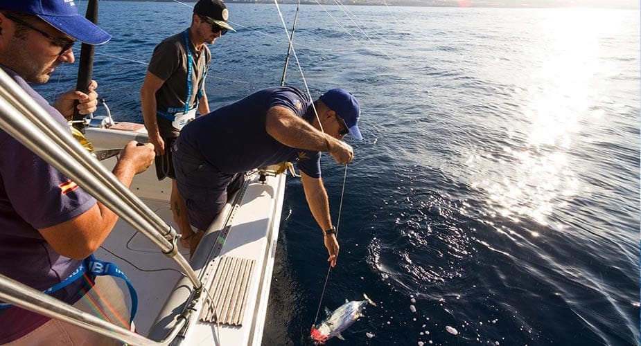 Vissers op Tenerife halen de vangst binnen