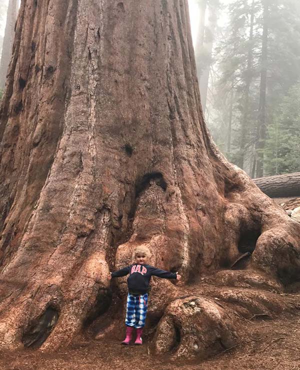 Kindje bij een grote boom