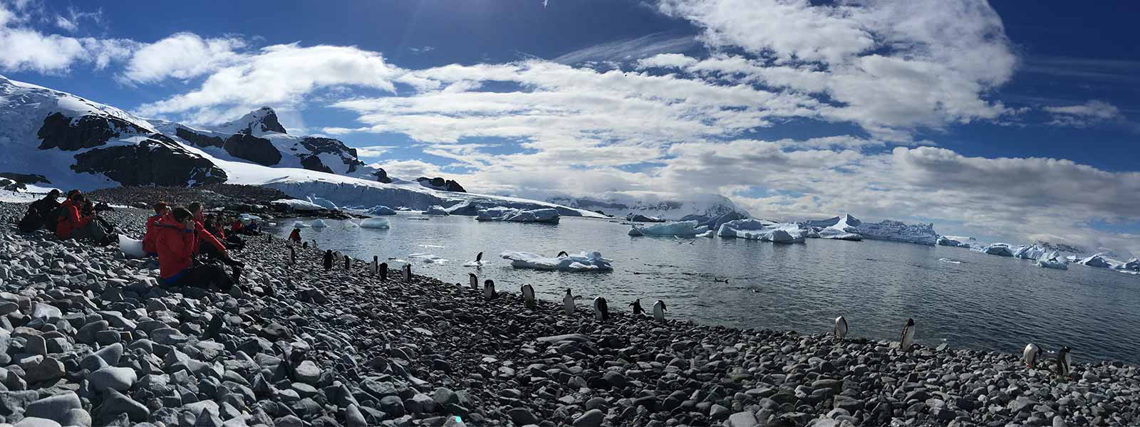 Genieten op een kiezelstrand op Antartica met zich op pignuins