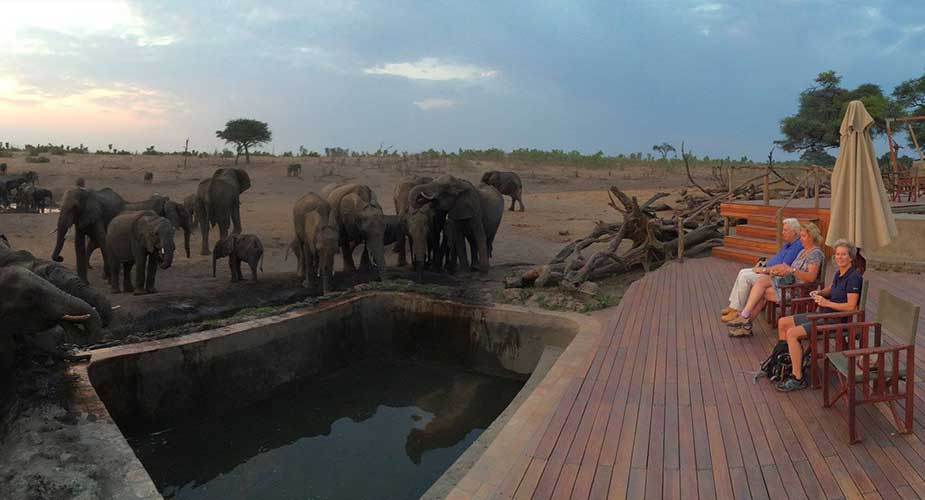 Olifanten drinken vanuit een pool in Zimbabwe