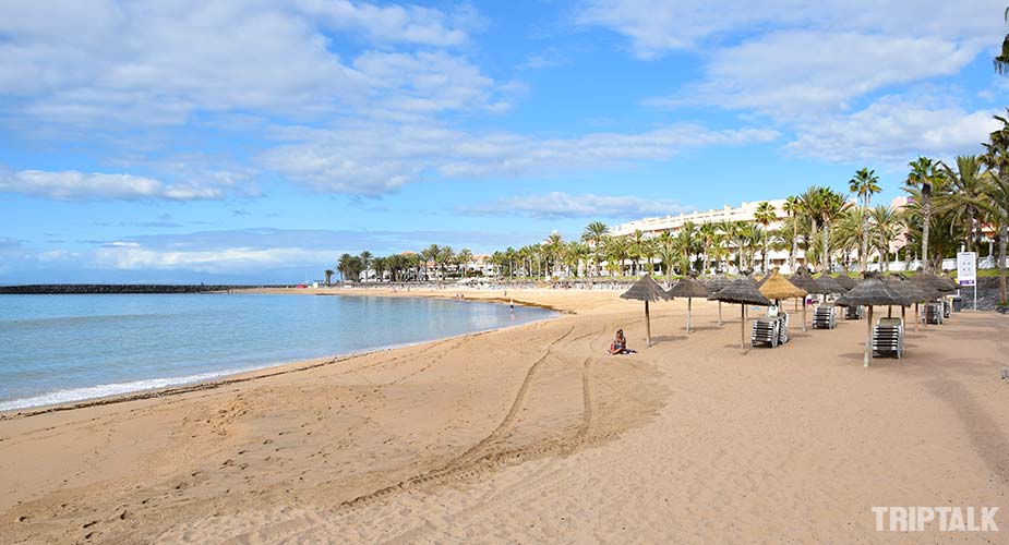 Strand van Playa del Camison  in Playa de las Americas