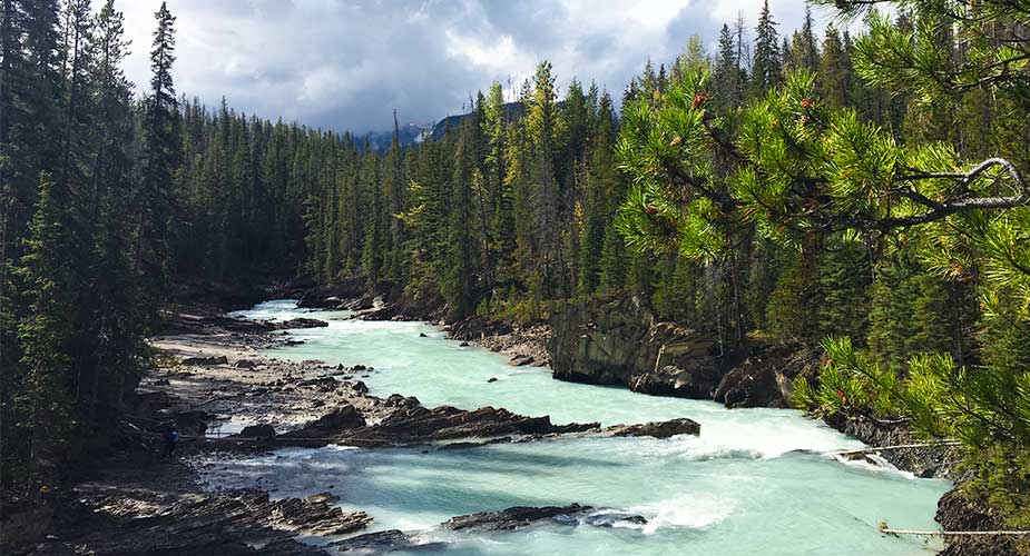 De natuur van Yoho National Park in Canada, rivier in het woud