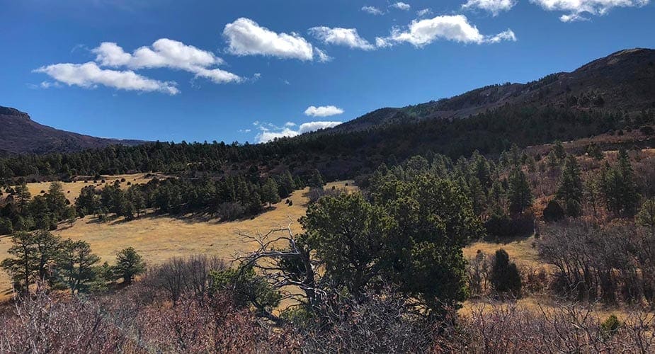 Natuurlandschap in Amerika