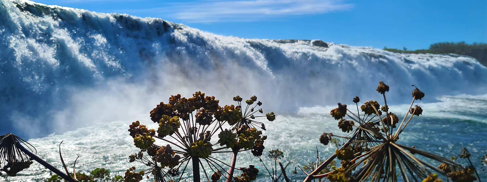 Woeste watervallen in IJsland