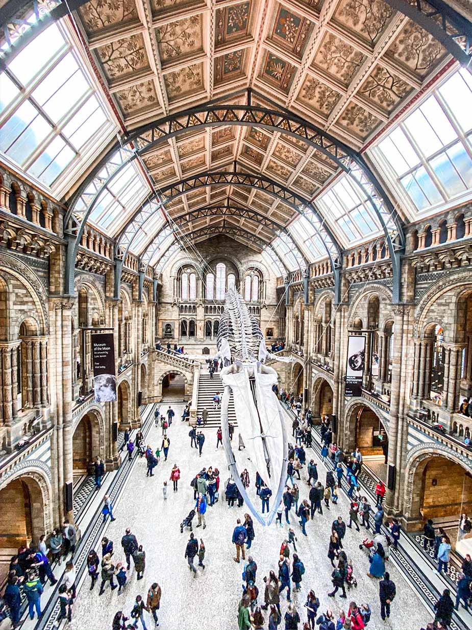 Natural History Museum in Londen