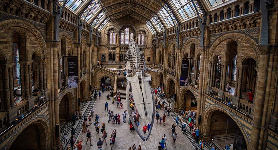 Natural History Museum in Londen musea met virtuele tour bezoeken