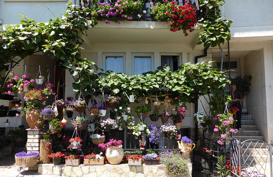 Huis met veel fleurige planten en bloemen