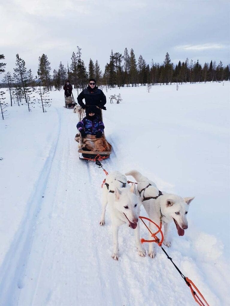 Valleria op husky safari in Lapland