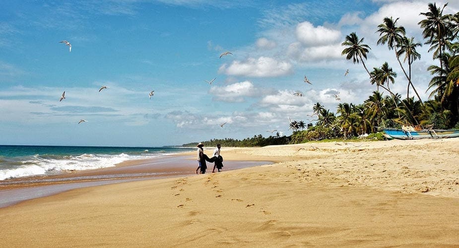 Strand met palmbomen op Sri Lanka