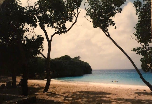 Strand en palmbomen Thailand