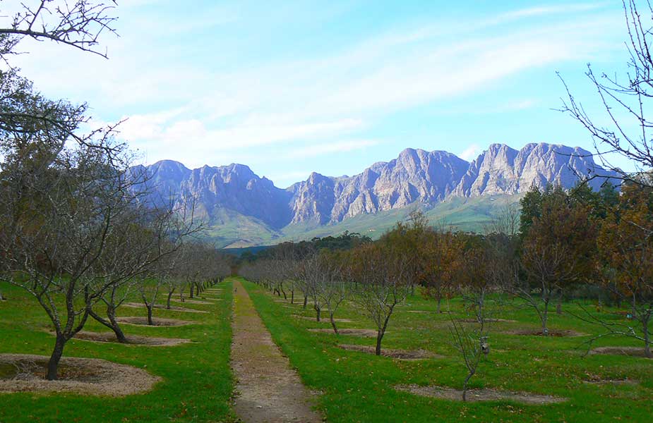 Landschap bij de wijnroute in Zuid-Afrika