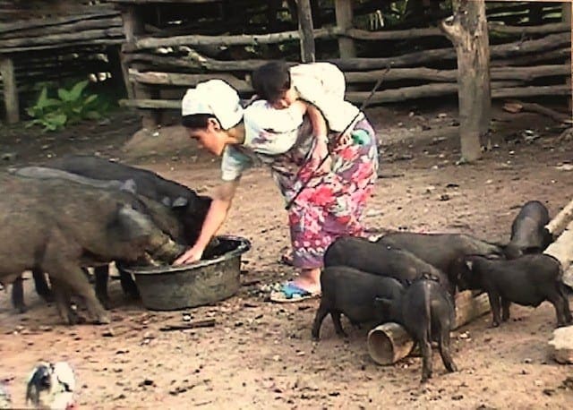 Verblijf bij een gezin in Thailand in de natuur