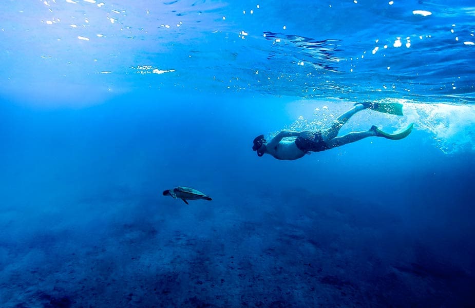 Schildpad bekijken tijdens het snorkelen