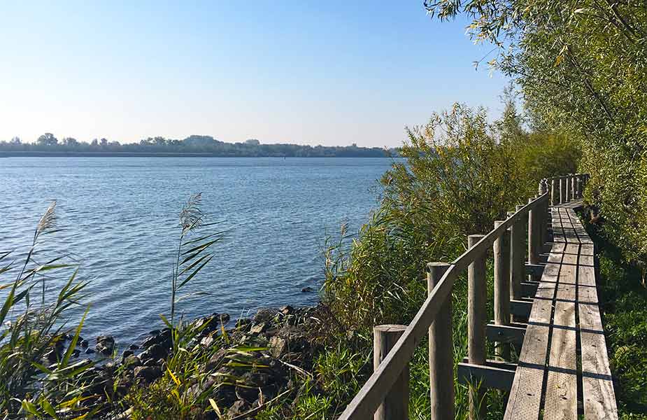 Natuur van de Carnisse Grienden op IJsselmonde