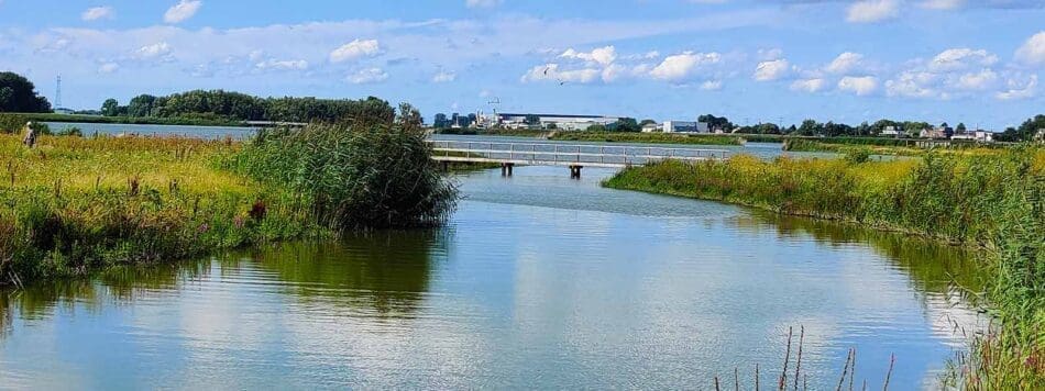 De natuur van de crezeepolder op het eiland ijsselmonde