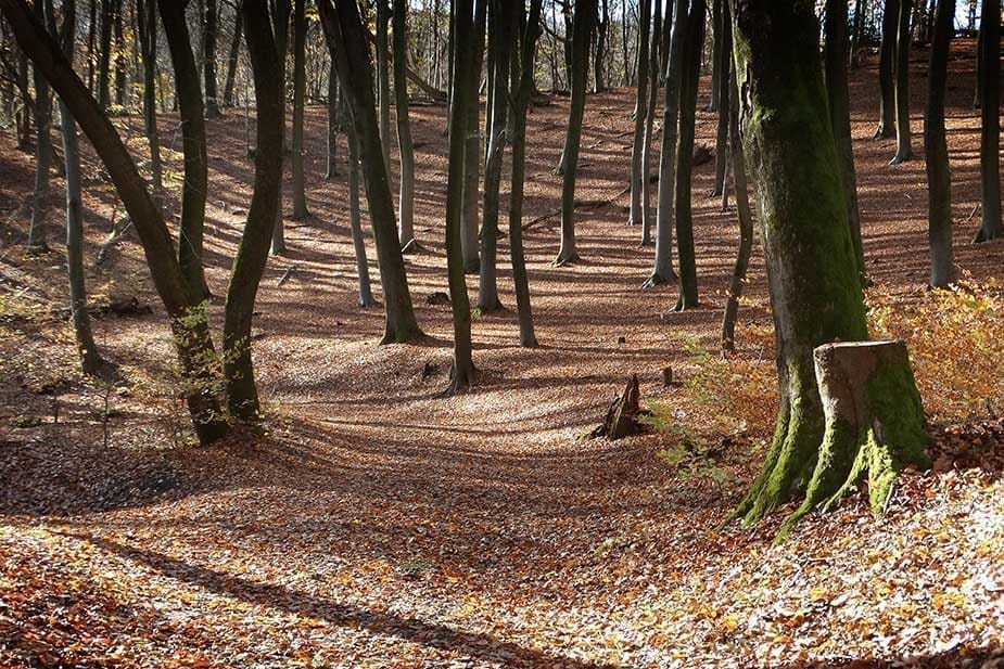 wandelen nijmegen wandelroutes benelux