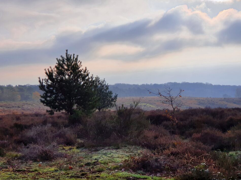 de beste wandelroutes van de benelux