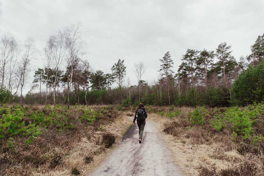 natuur bosbeek nivon