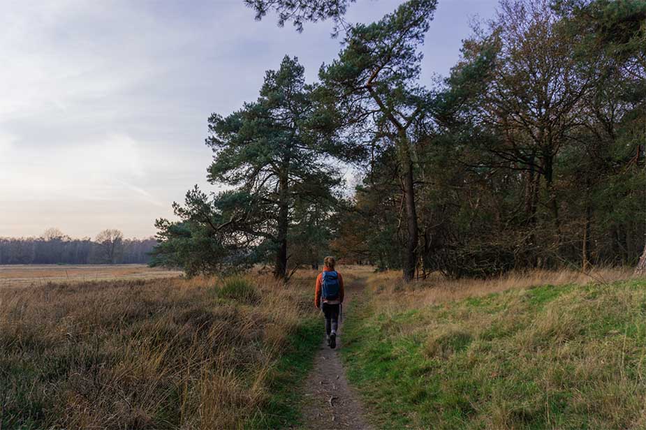 Nivon trektocht hunehuis