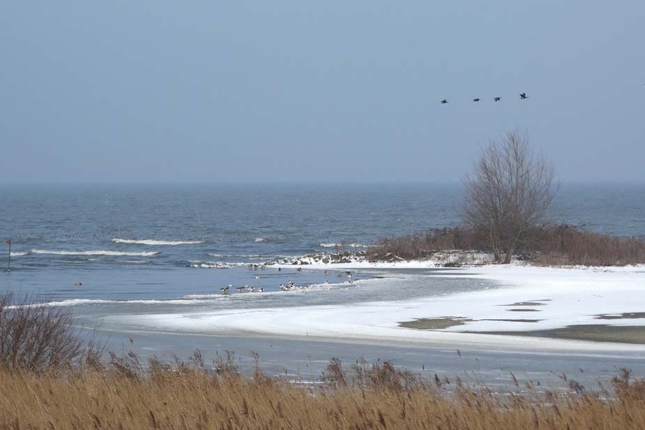 Westfriese Omringdijk