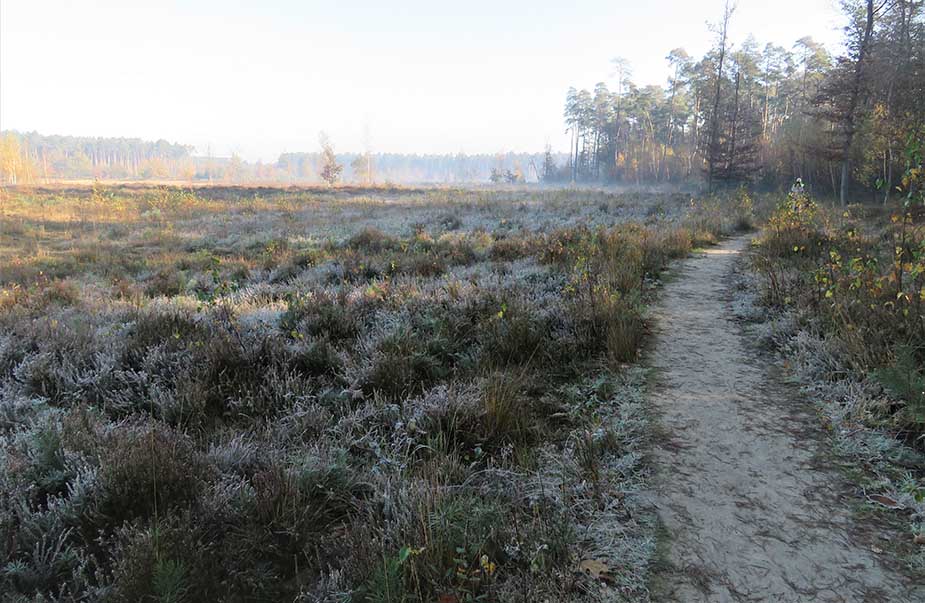 merode wandelroute benelux