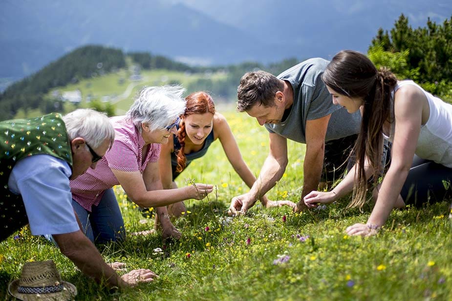 steiermark wandelen doen in Hoogstiermarken