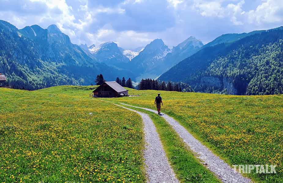 De uitgebreide alpenweiden bij Brulisau Appenzell