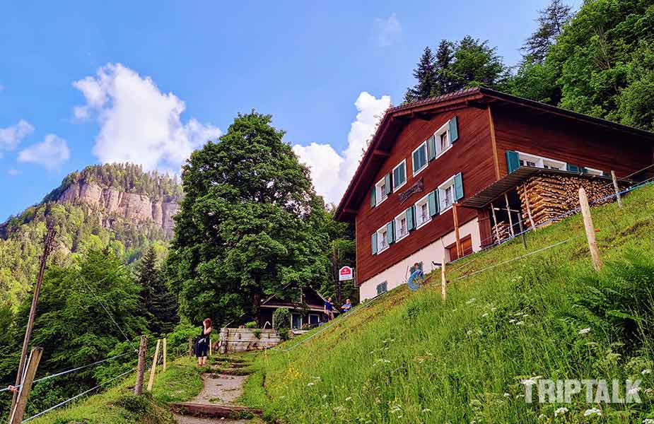 Huis aan bosrand op de berg bij Rigi