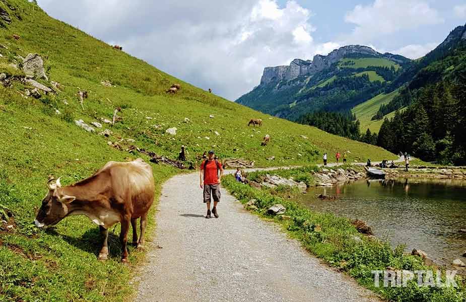 Jeroen hike naar de Seealpsee