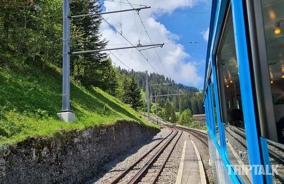 Genieten van uitzicht vanuit de trein op weg naar de Rigi