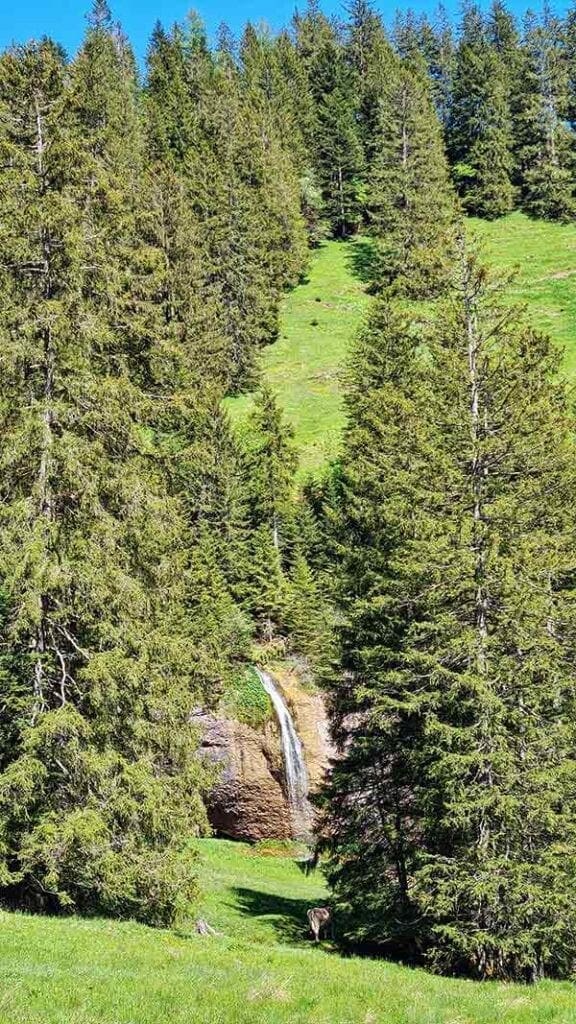 Een waterval in de bergen