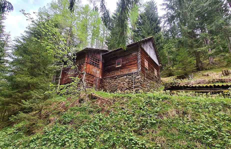 De midden in het bos gelegen Bruggerhutte