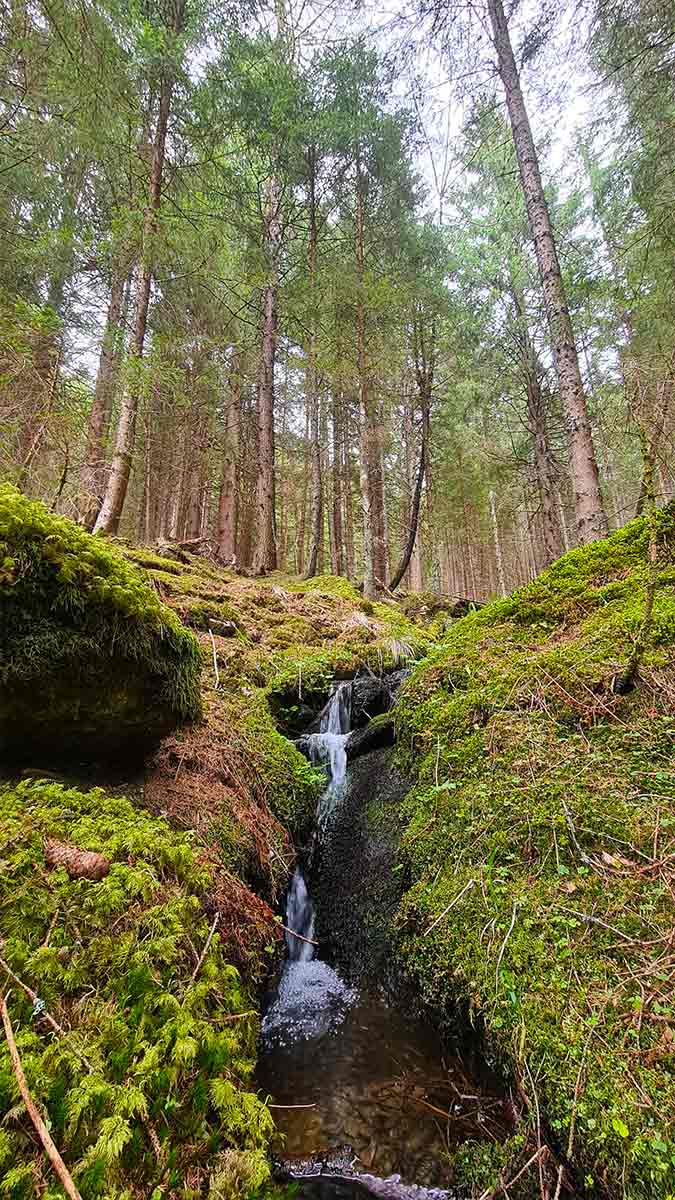 Watervalletje in bos bij Radenthein