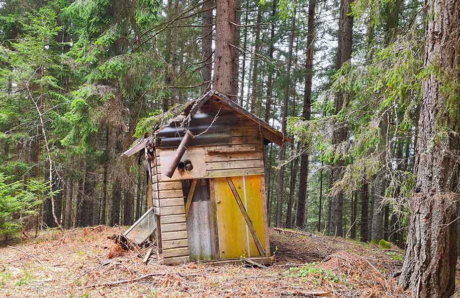 Klein hutje in het bos bij Radenthein