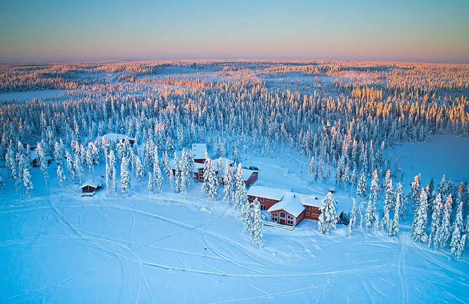 Overzicht van de Pinetree Lodge in Lapland