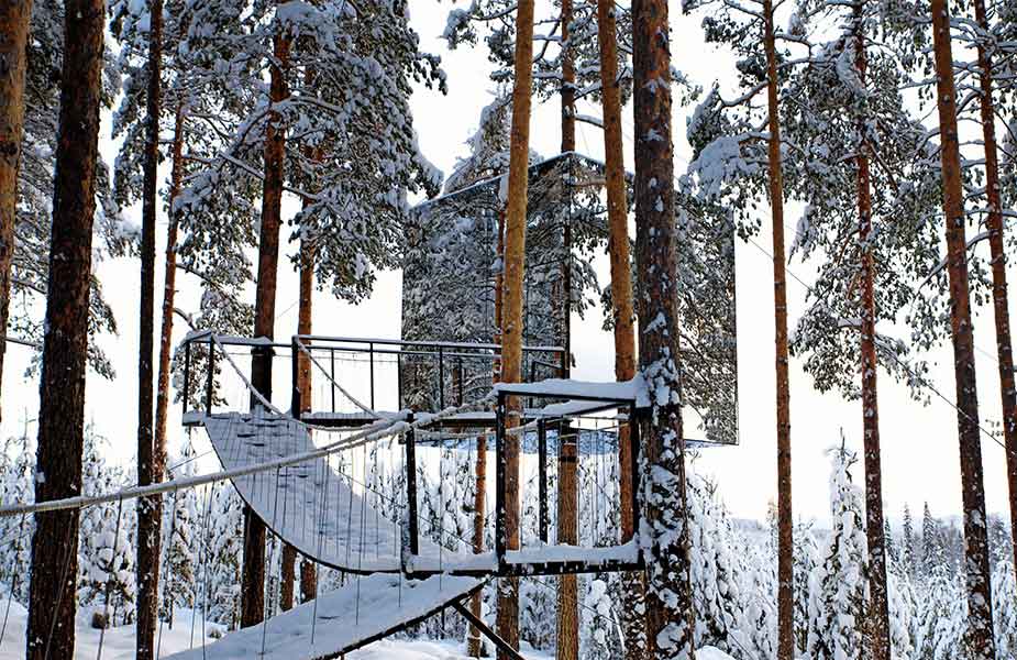 Slapen in boomhut in Lapland in het Tree hotel