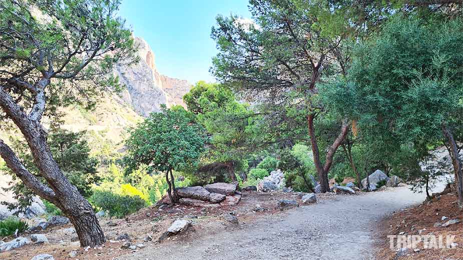 Het bospad van tussen Caminito del Rey