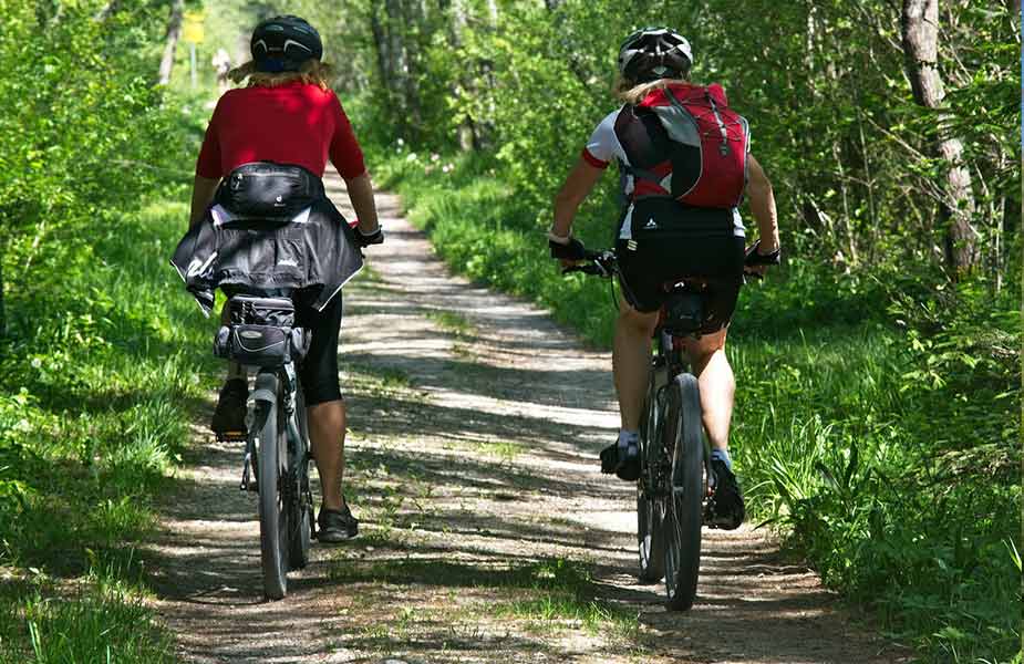 Fietsen in het bos