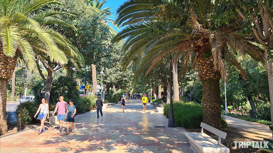 De palmbomen in het Parque del Malaga