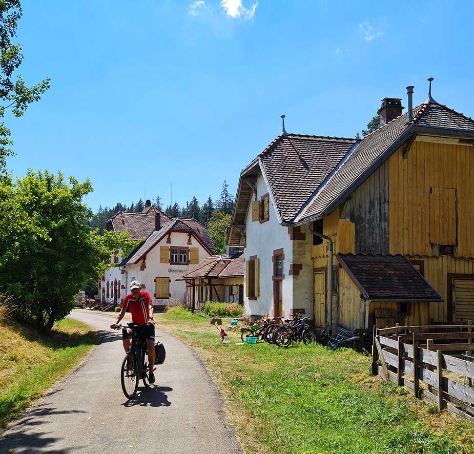 Südschwarzwald-Radweg fietsen zwarte woud