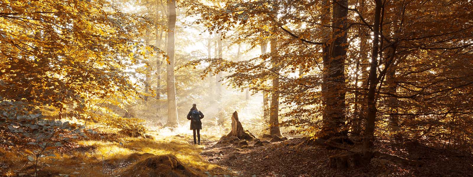 doen herfst zuid zweden