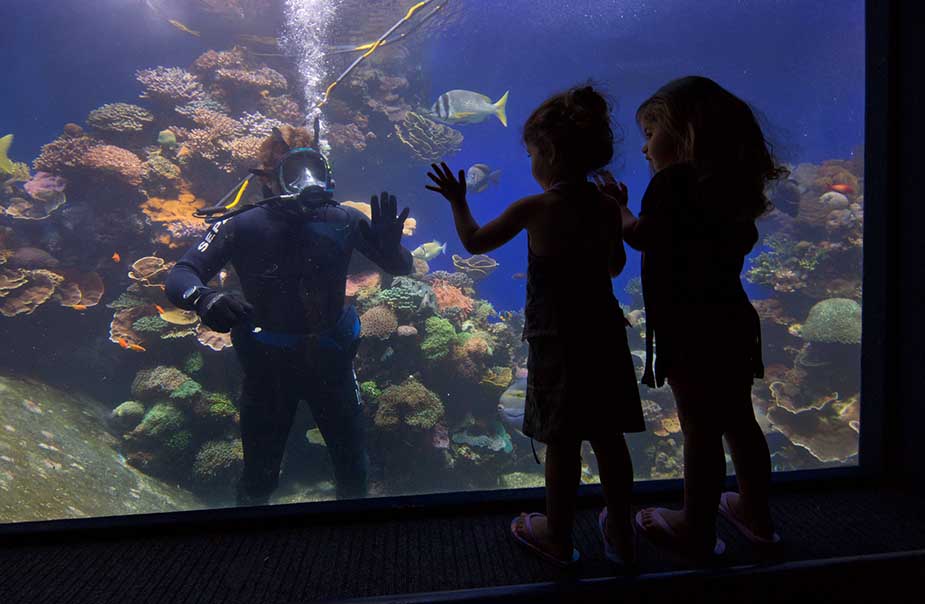 Underwater Observatory israel